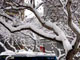 snow_china